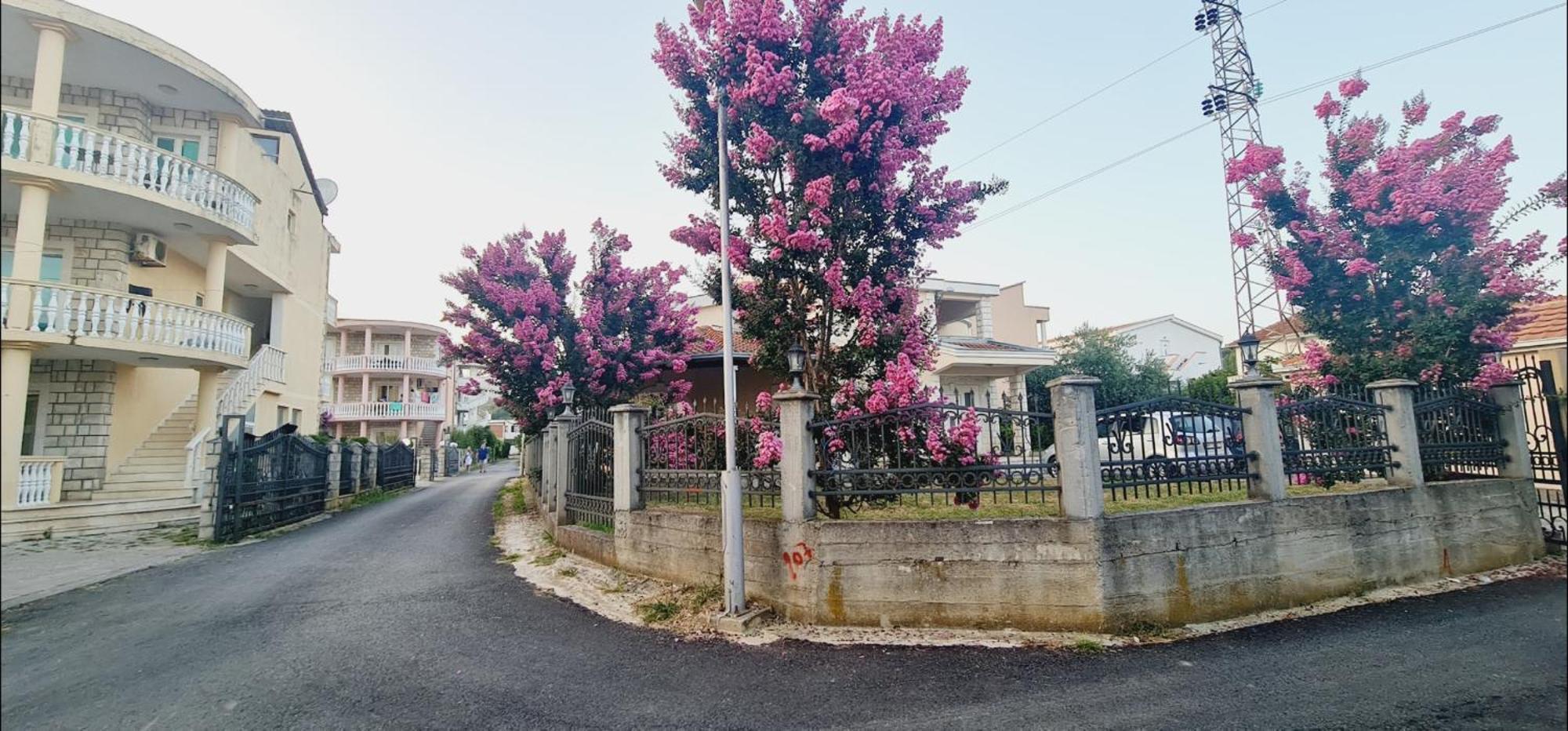 Kurt Apartaments 울친 외부 사진